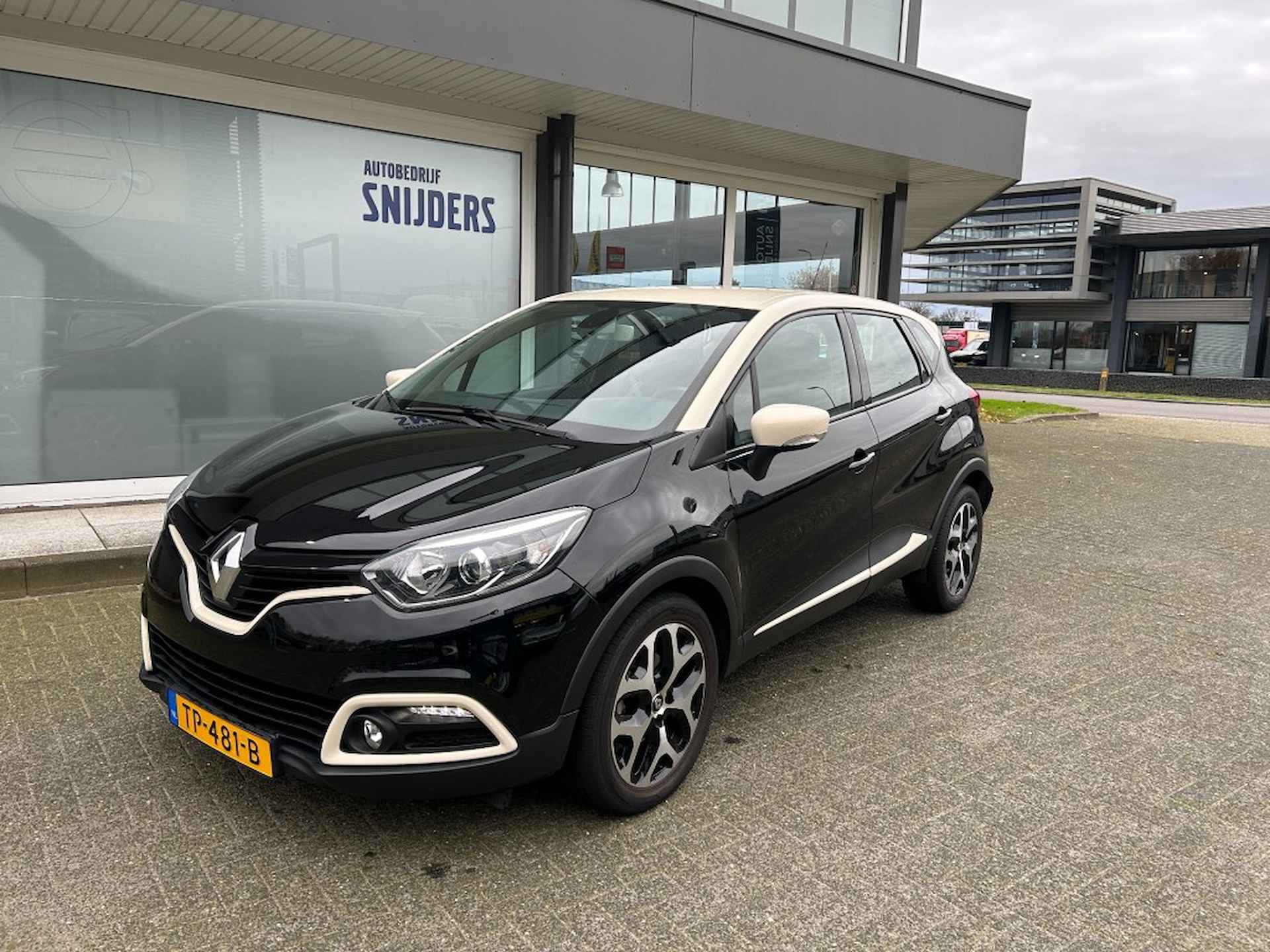 Renault Captur BOVAG 40-Puntencheck