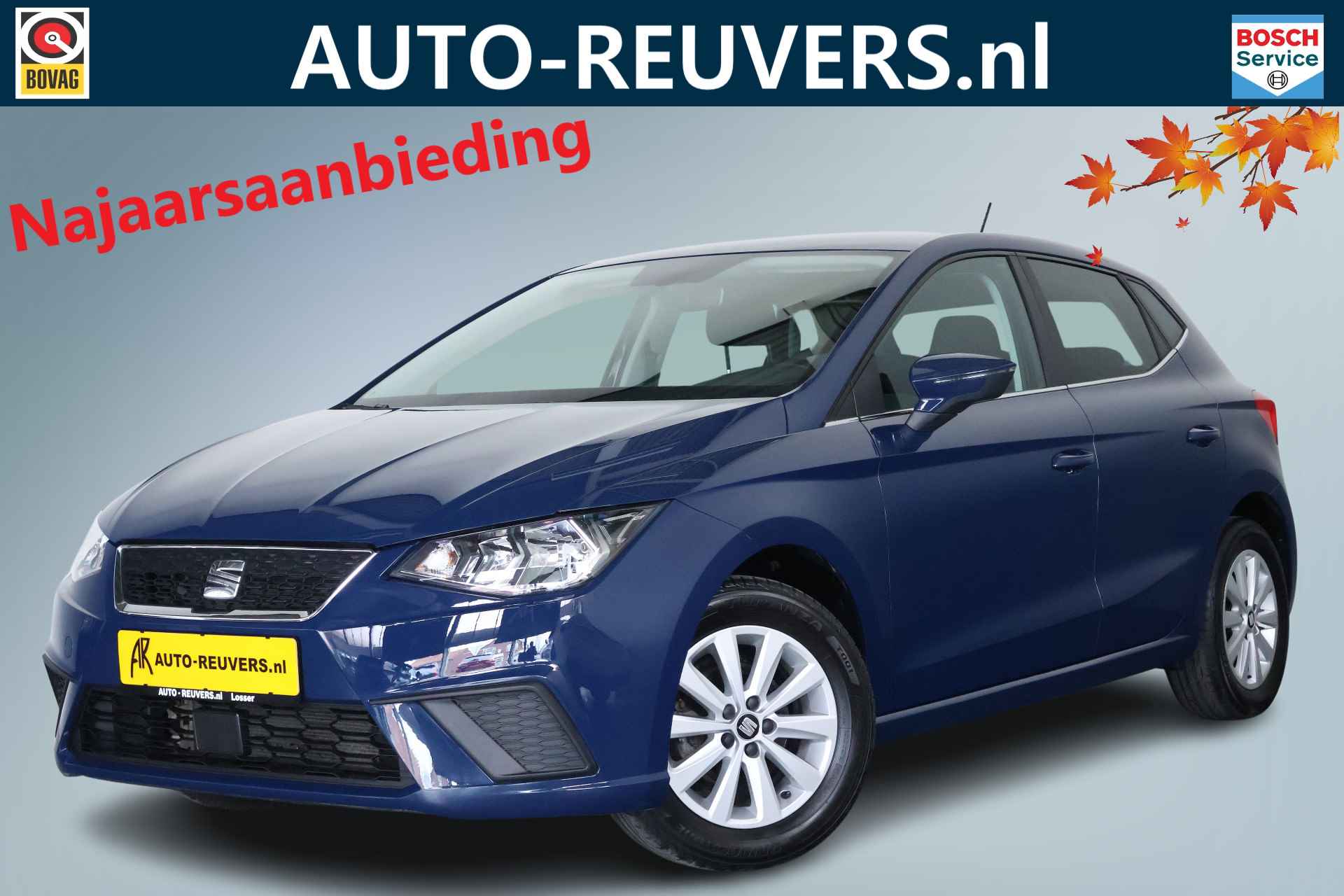 Seat Ibiza BOVAG 40-Puntencheck