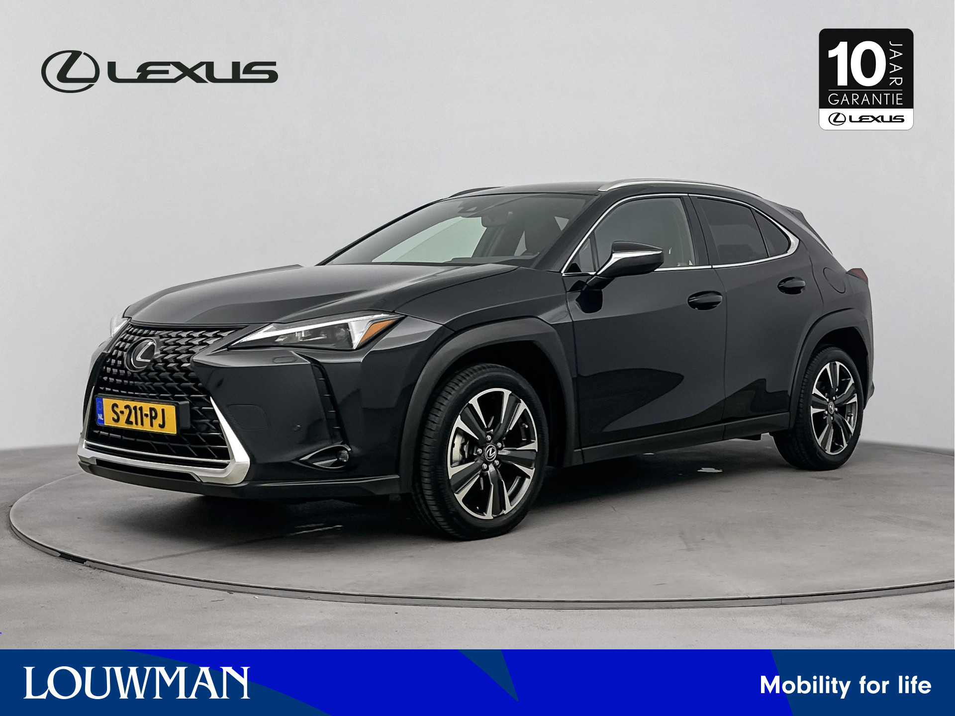 Lexus UX 250h Business Line | Navigatie | Blind Spot Monitor | Privacy Glas |