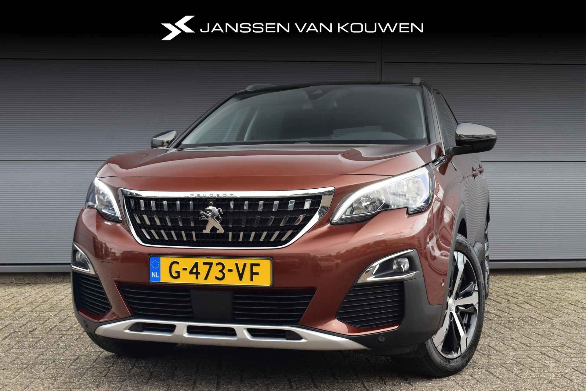 Peugeot 3008 BOVAG 40-Puntencheck