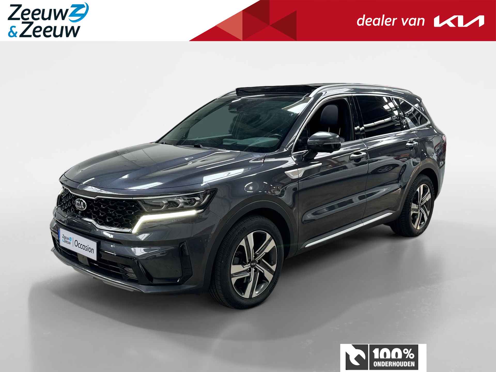 Kia Sorento BOVAG 40-Puntencheck