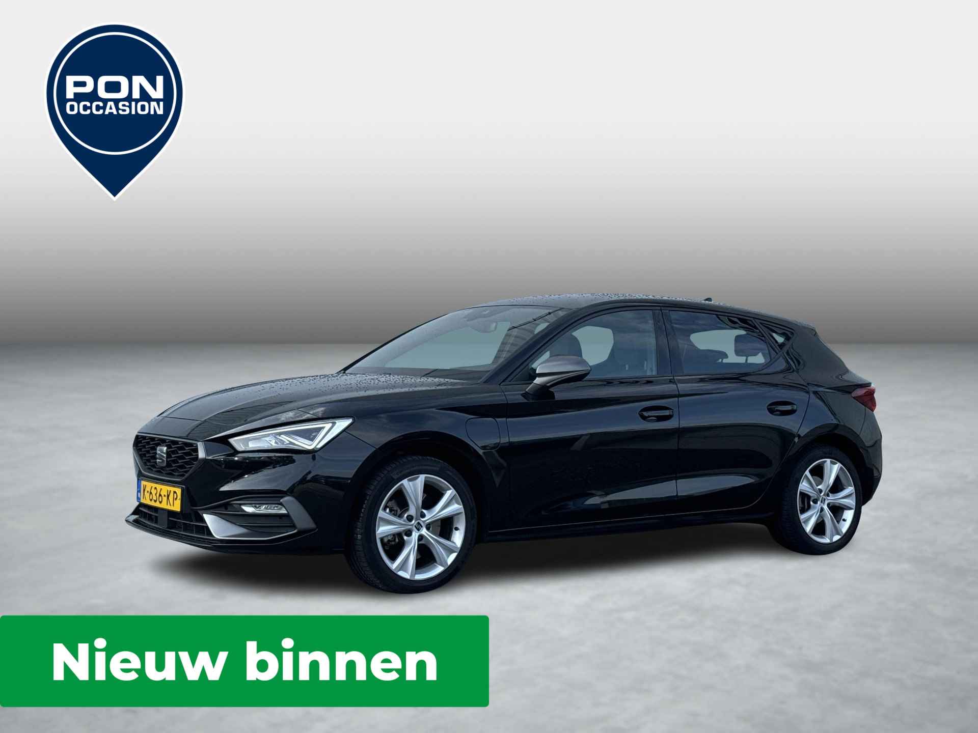 Seat Leon BOVAG 40-Puntencheck