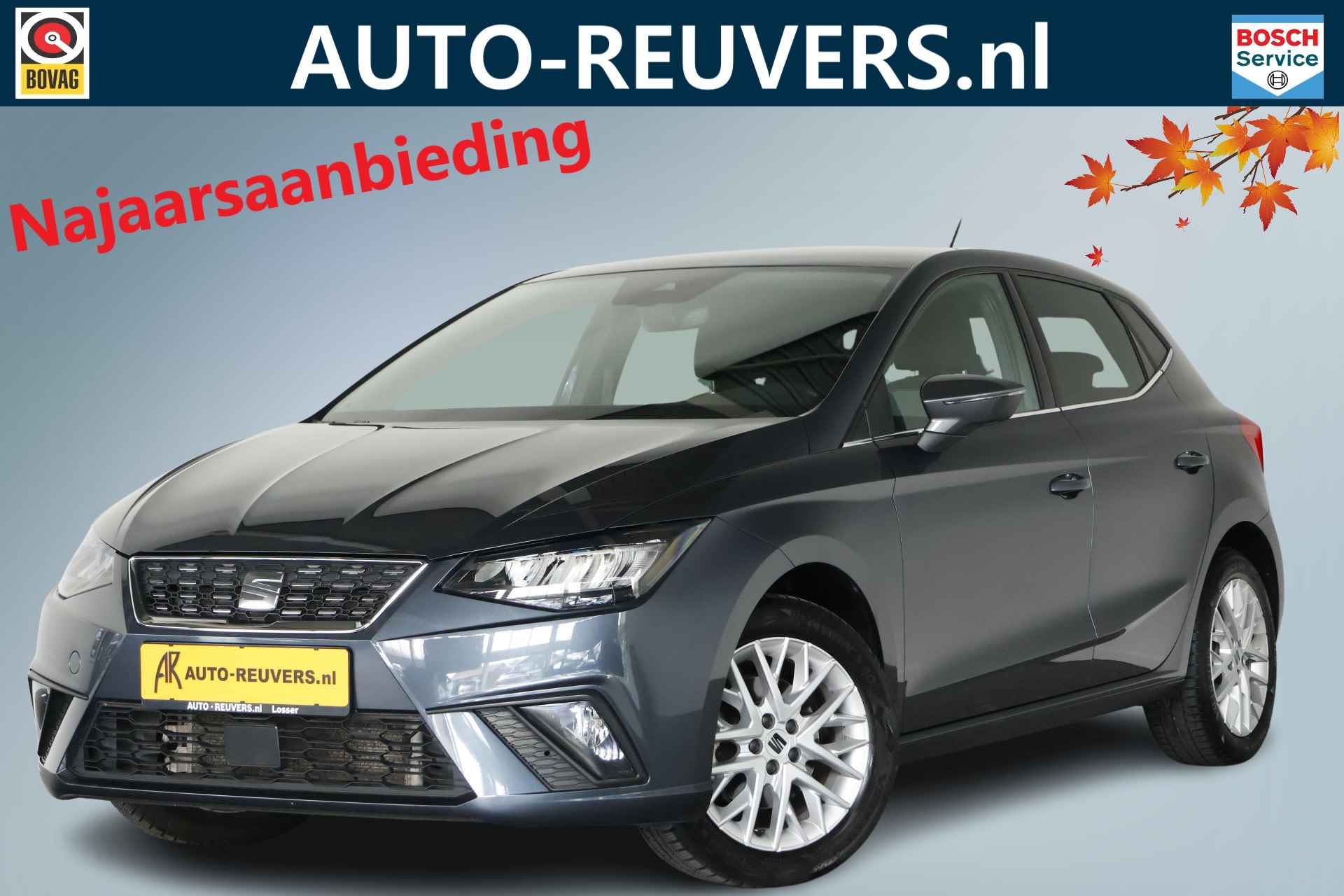 Seat Ibiza BOVAG 40-Puntencheck