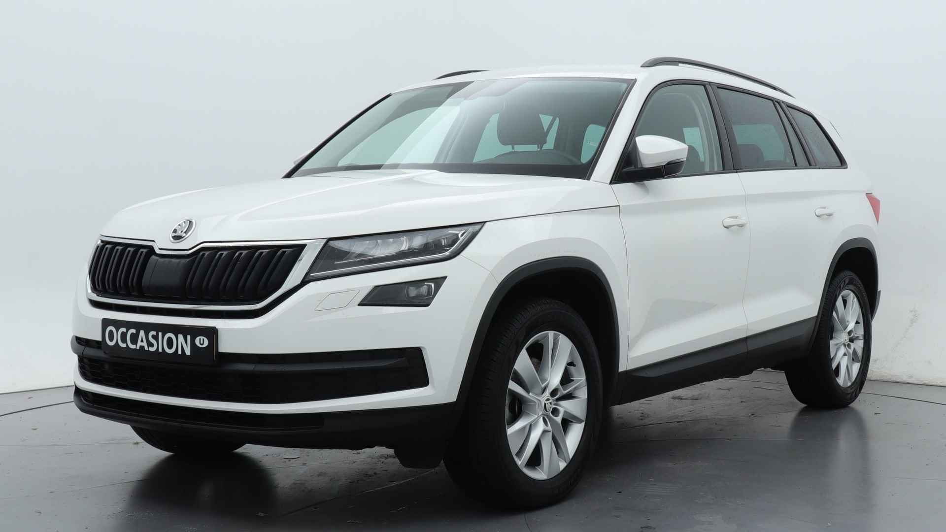 Škoda Kodiaq BOVAG 40-Puntencheck