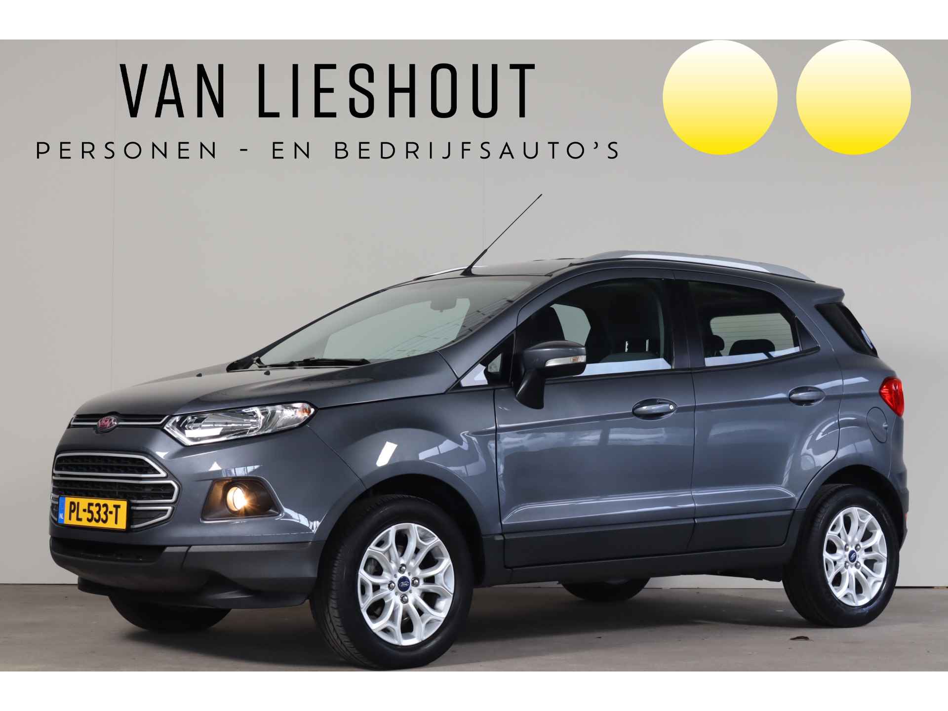 Ford EcoSport BOVAG 40-Puntencheck