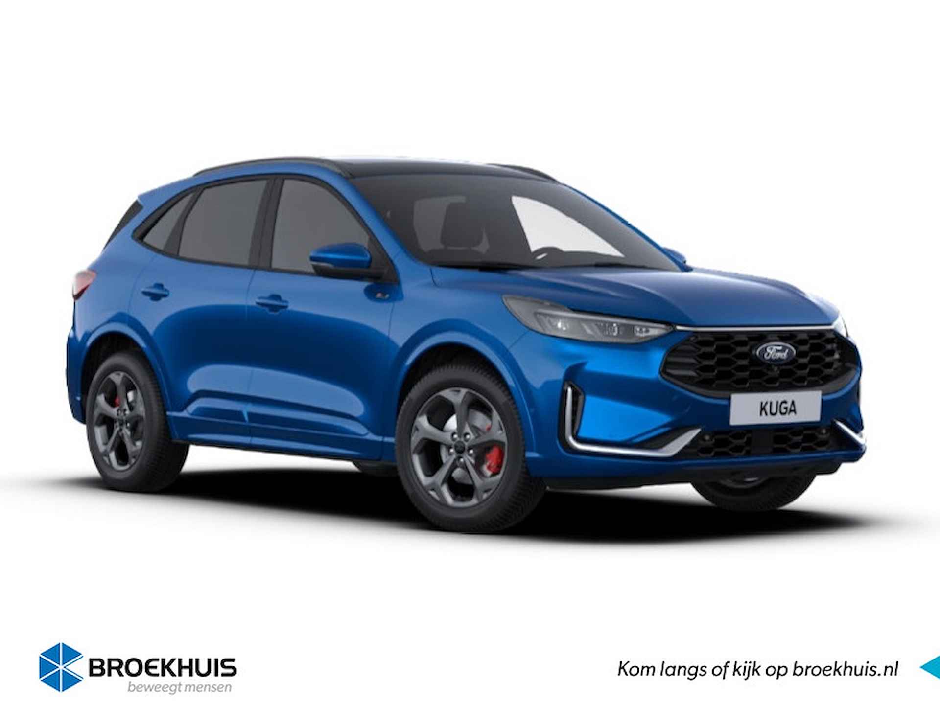 Ford Kuga BOVAG 40-Puntencheck