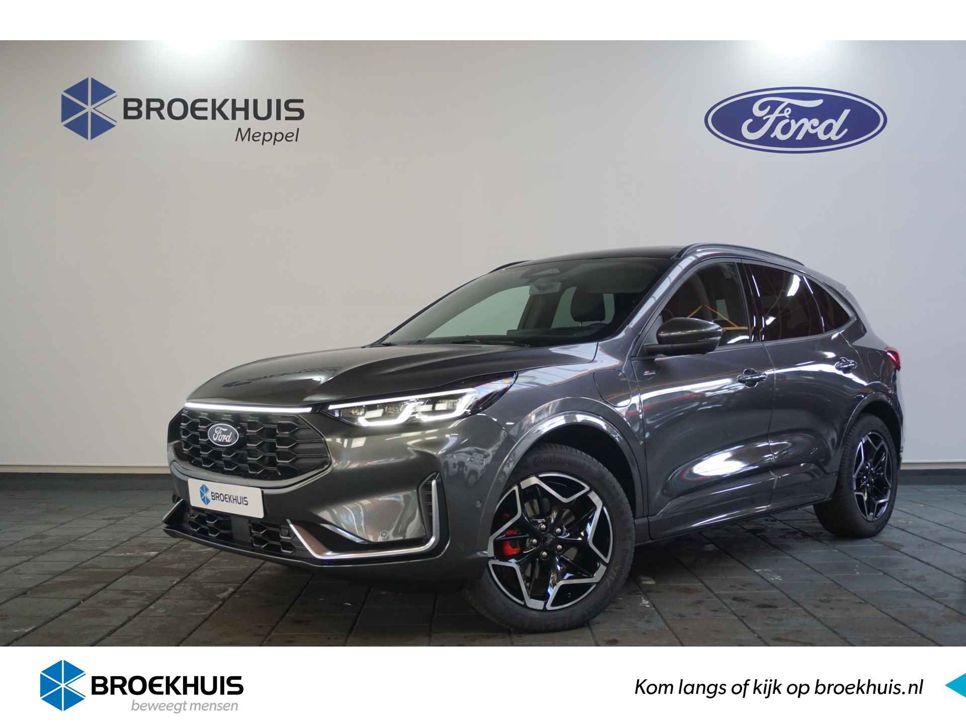 Ford Kuga BOVAG 40-Puntencheck