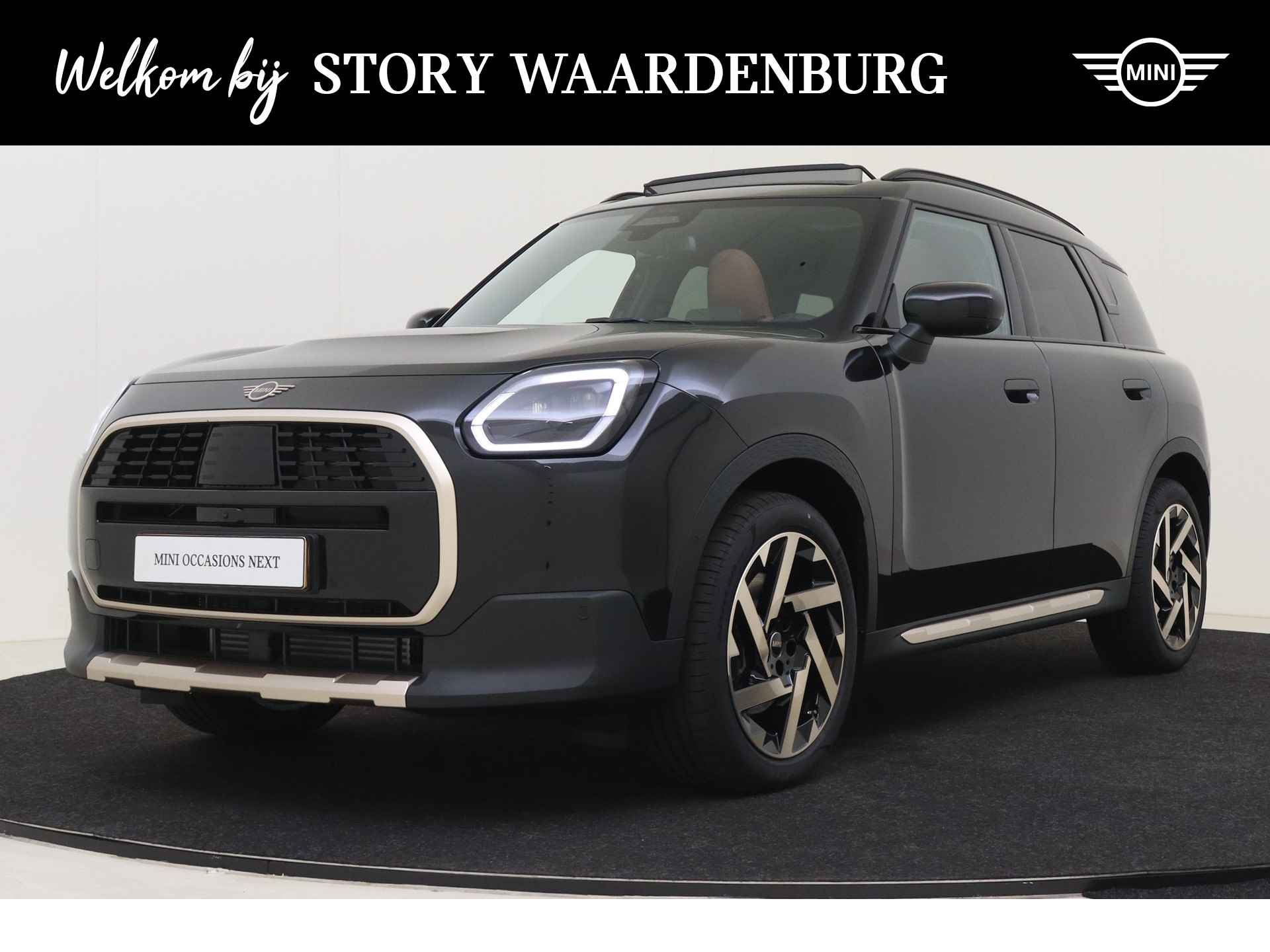 Mini Countryman