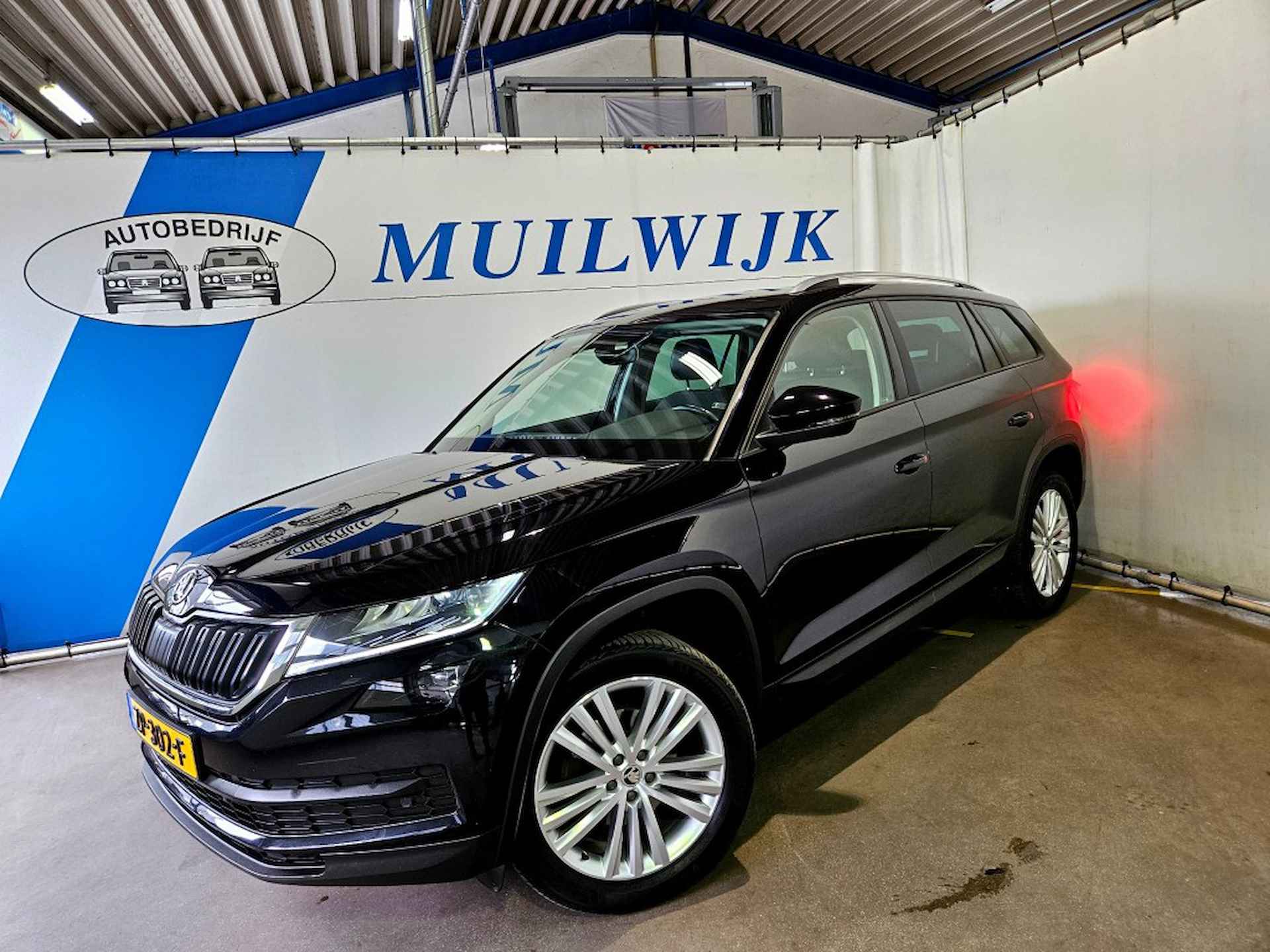 Škoda Kodiaq BOVAG 40-Puntencheck