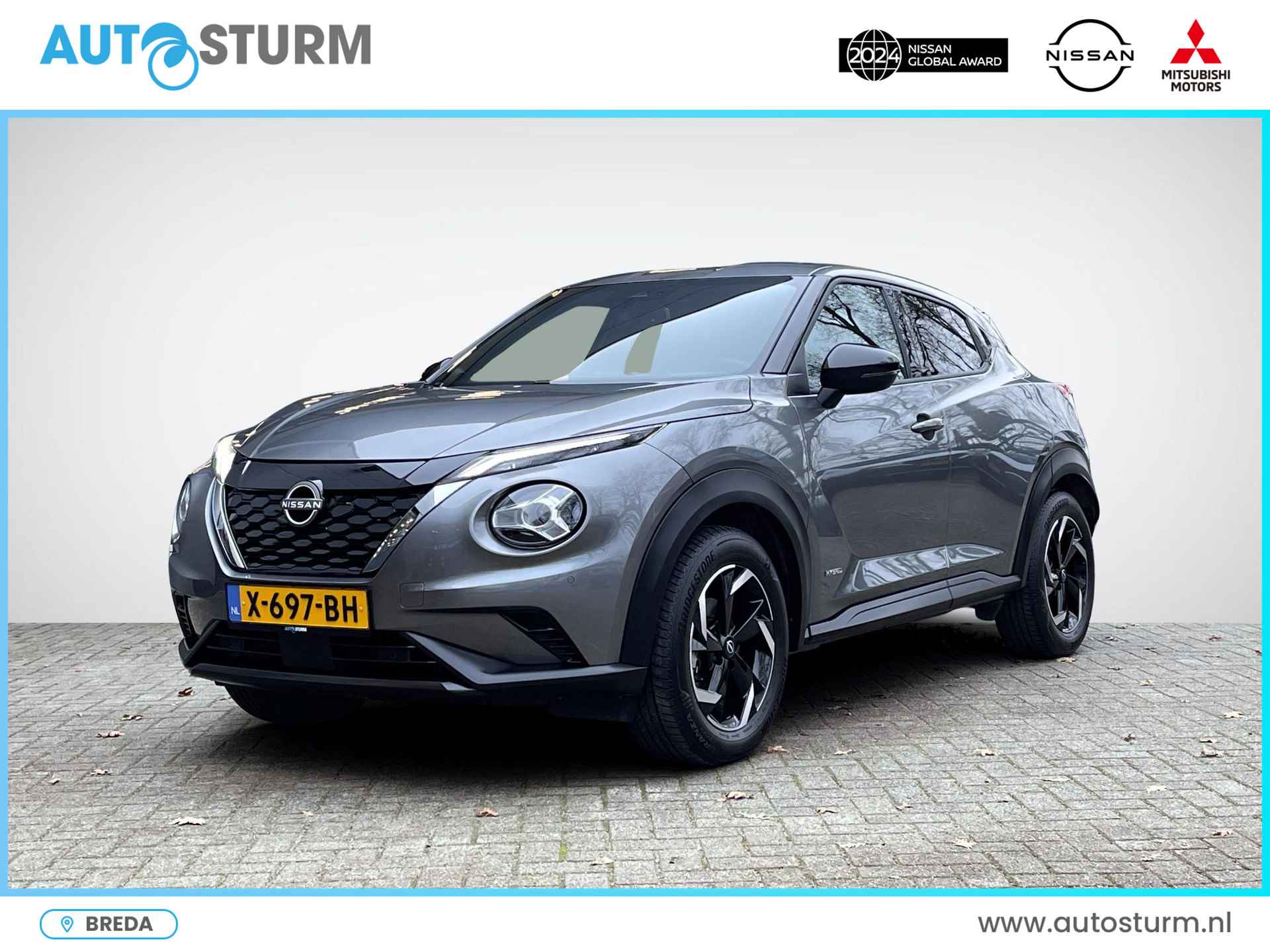 Nissan Juke BOVAG 40-Puntencheck