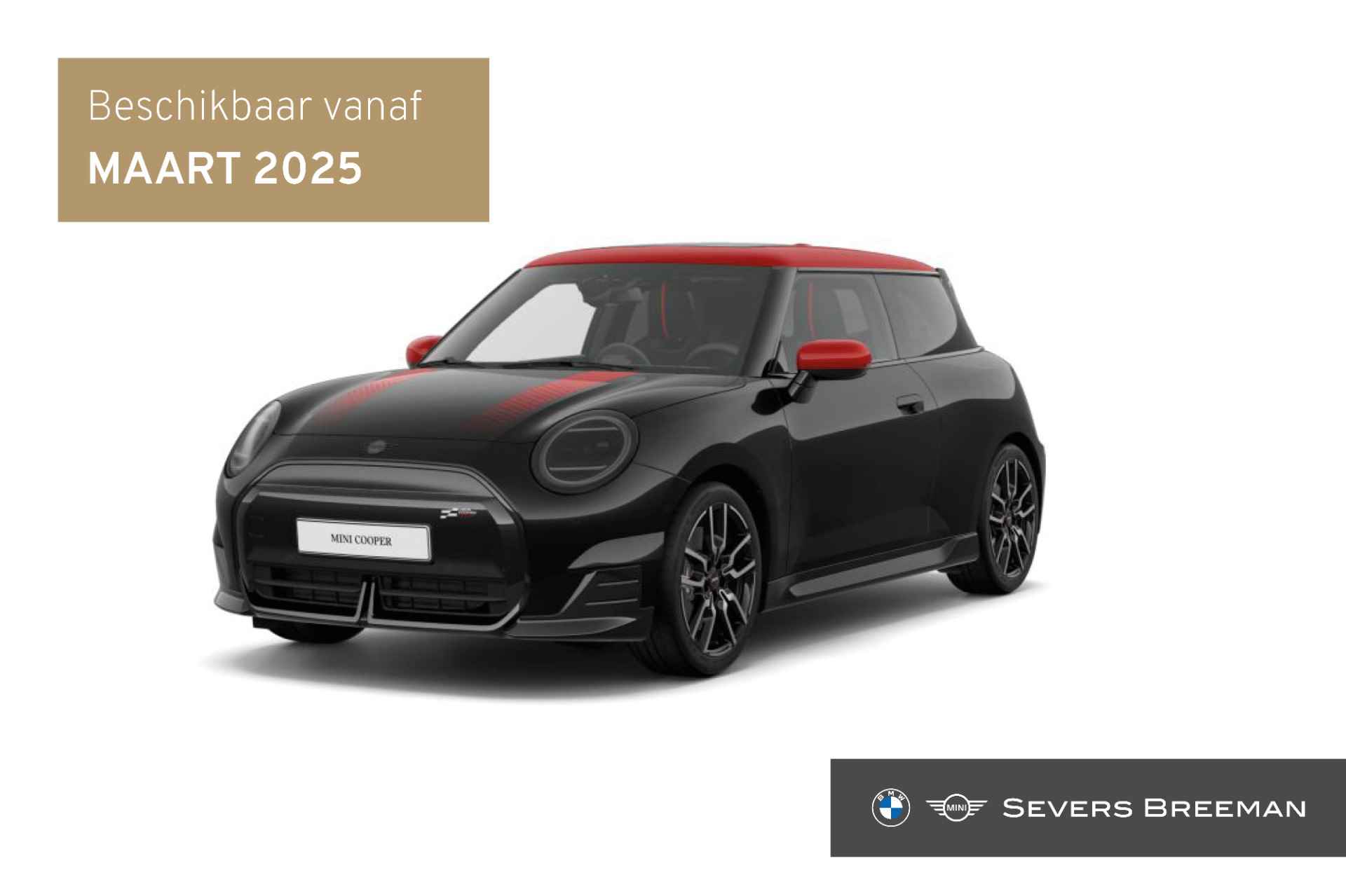 Mini Cooper BOVAG 40-Puntencheck