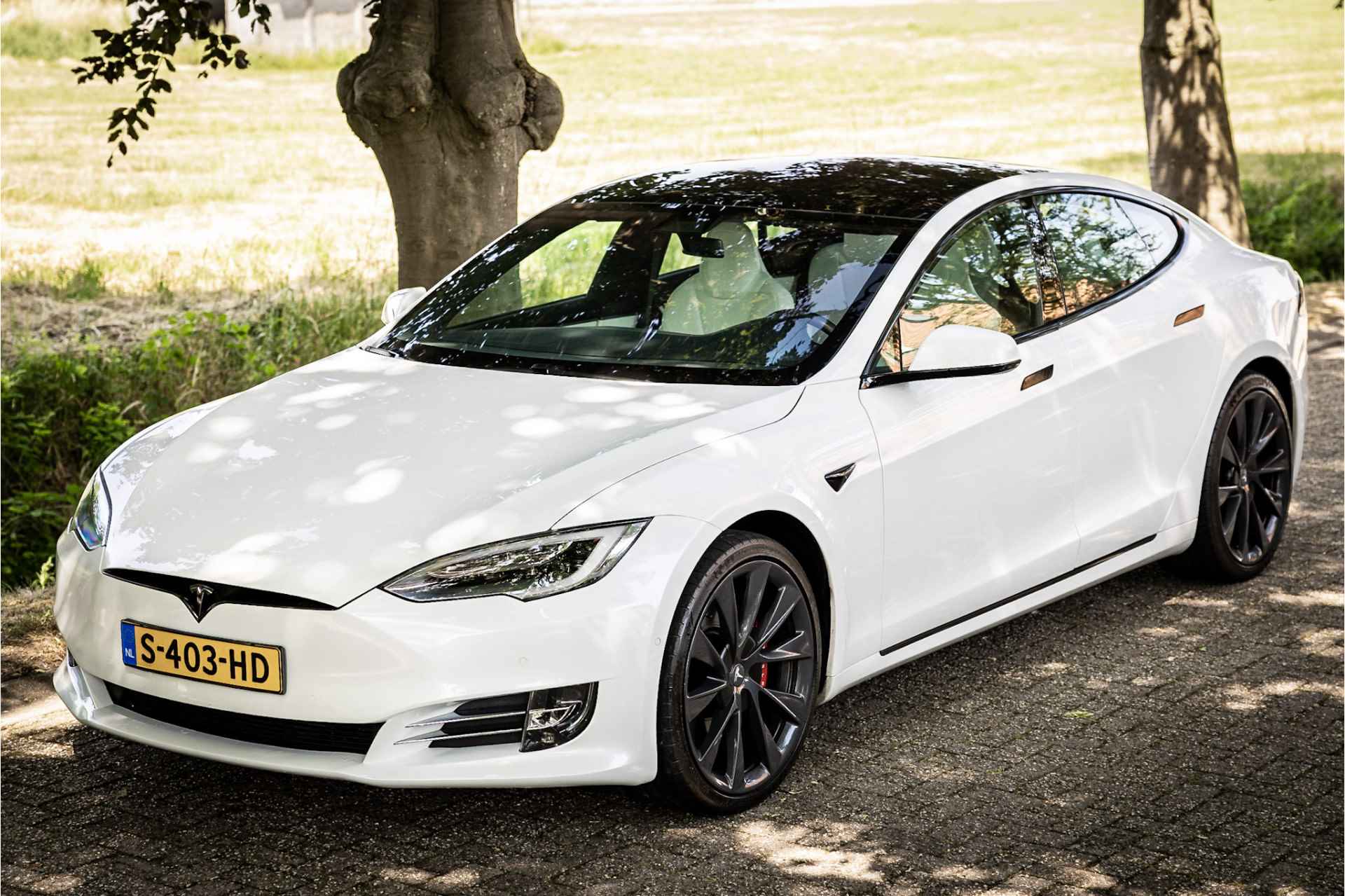 Tesla Model S P100D Performance Ludicrous Stoelventilatie Carbon 21" - 14/26