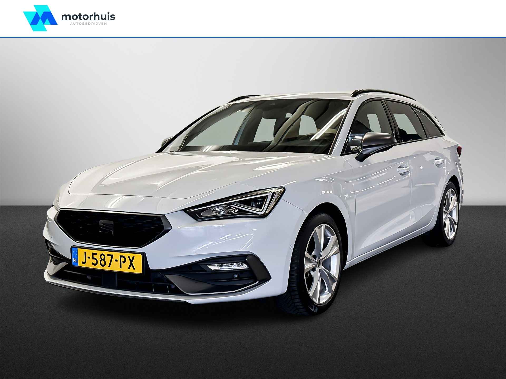 Seat Leon BOVAG 40-Puntencheck