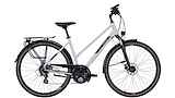 PEGASUS Solero SL Disc 24 Trapeze Light Grey 28" 2024