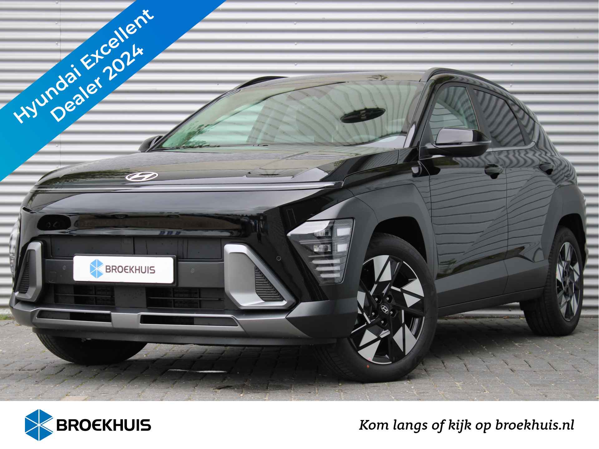 Hyundai Kona BOVAG 40-Puntencheck