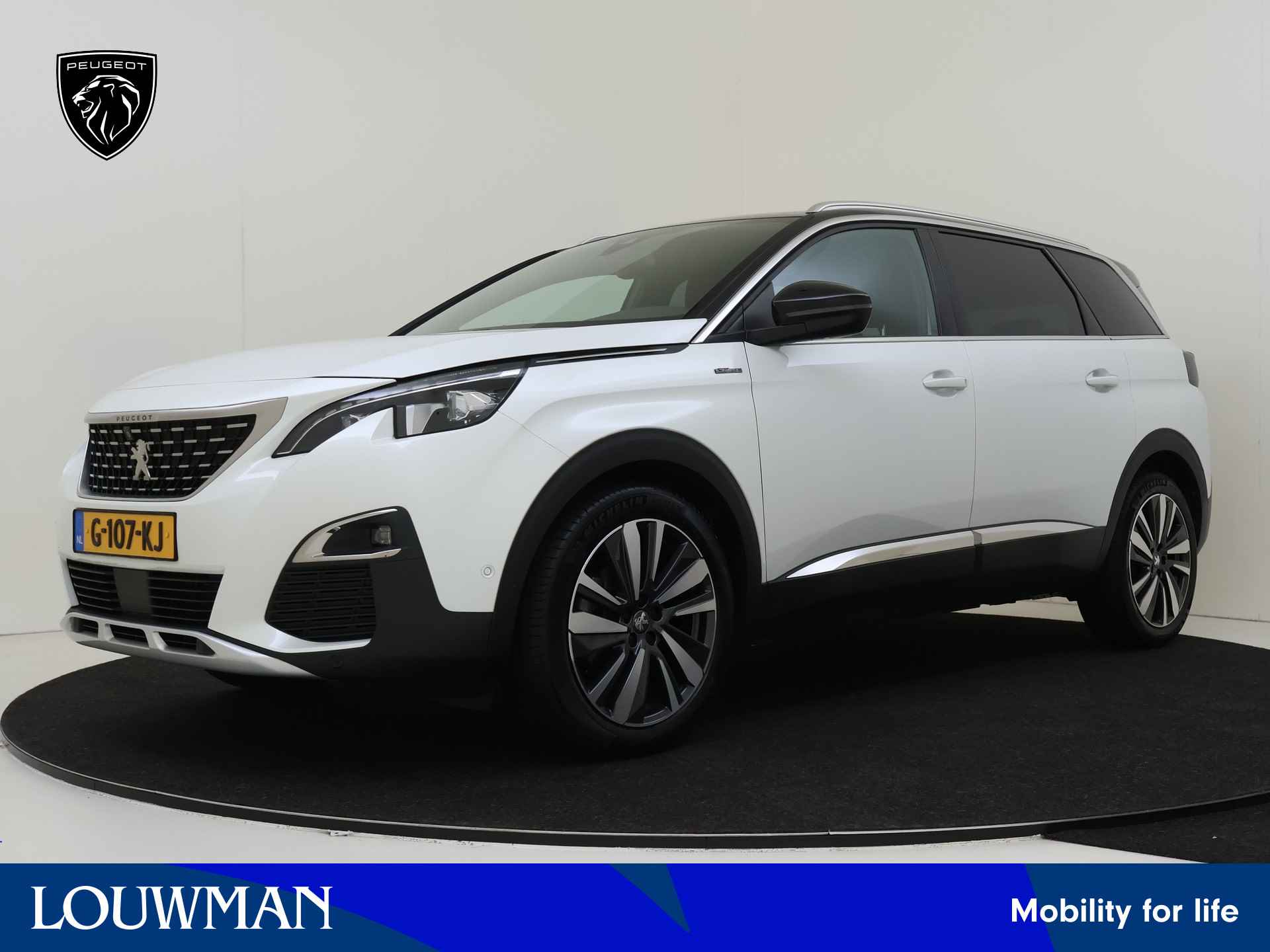 Peugeot 5008 BOVAG 40-Puntencheck