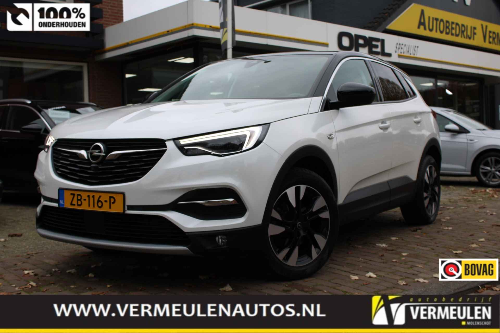 Opel Grandland X BOVAG 40-Puntencheck