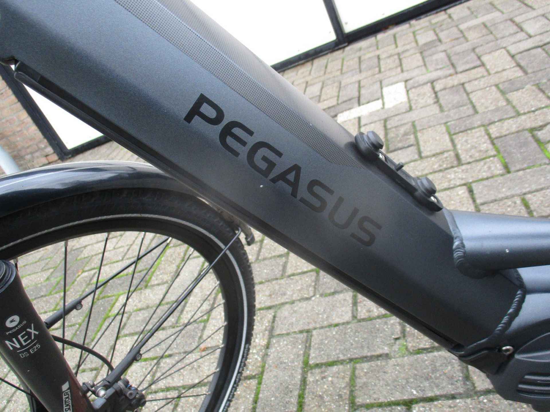 Pegasus Opero Evo 5f Di2 Nl ( 750 wh accu ) Dames Platinium Grey Matt 50cm 2022 - 14/18