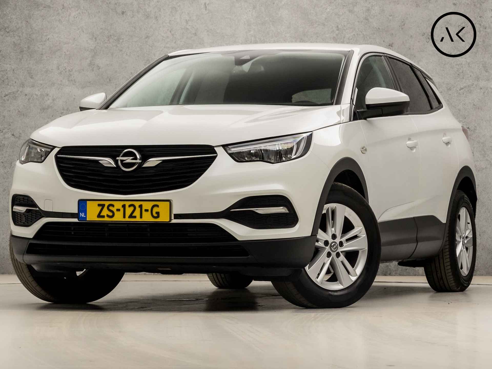 Opel Grandland X BOVAG 40-Puntencheck