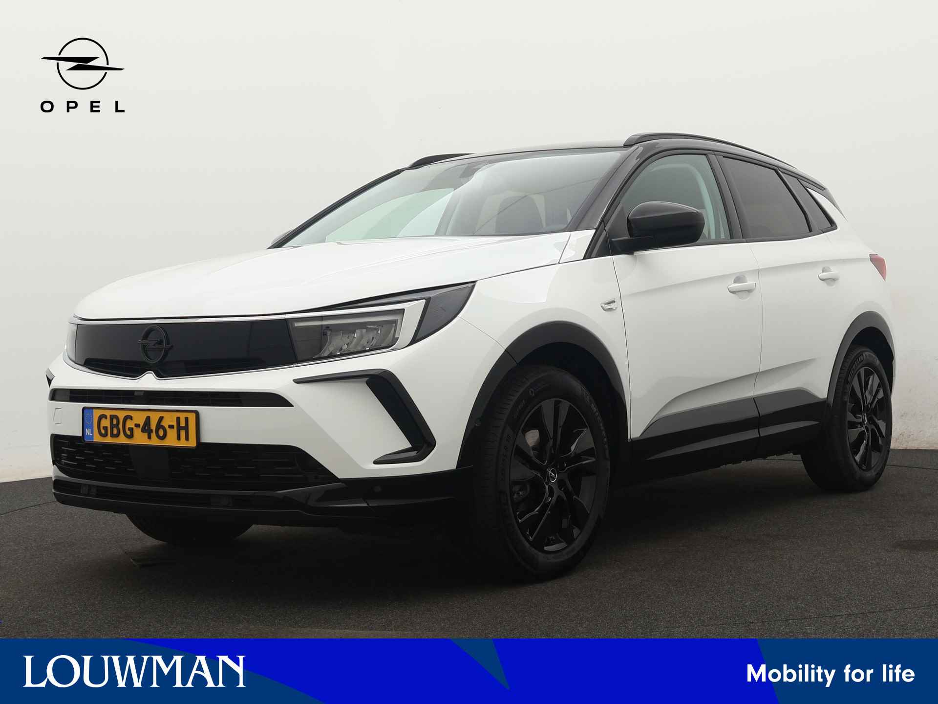 Opel Grandland X BOVAG 40-Puntencheck