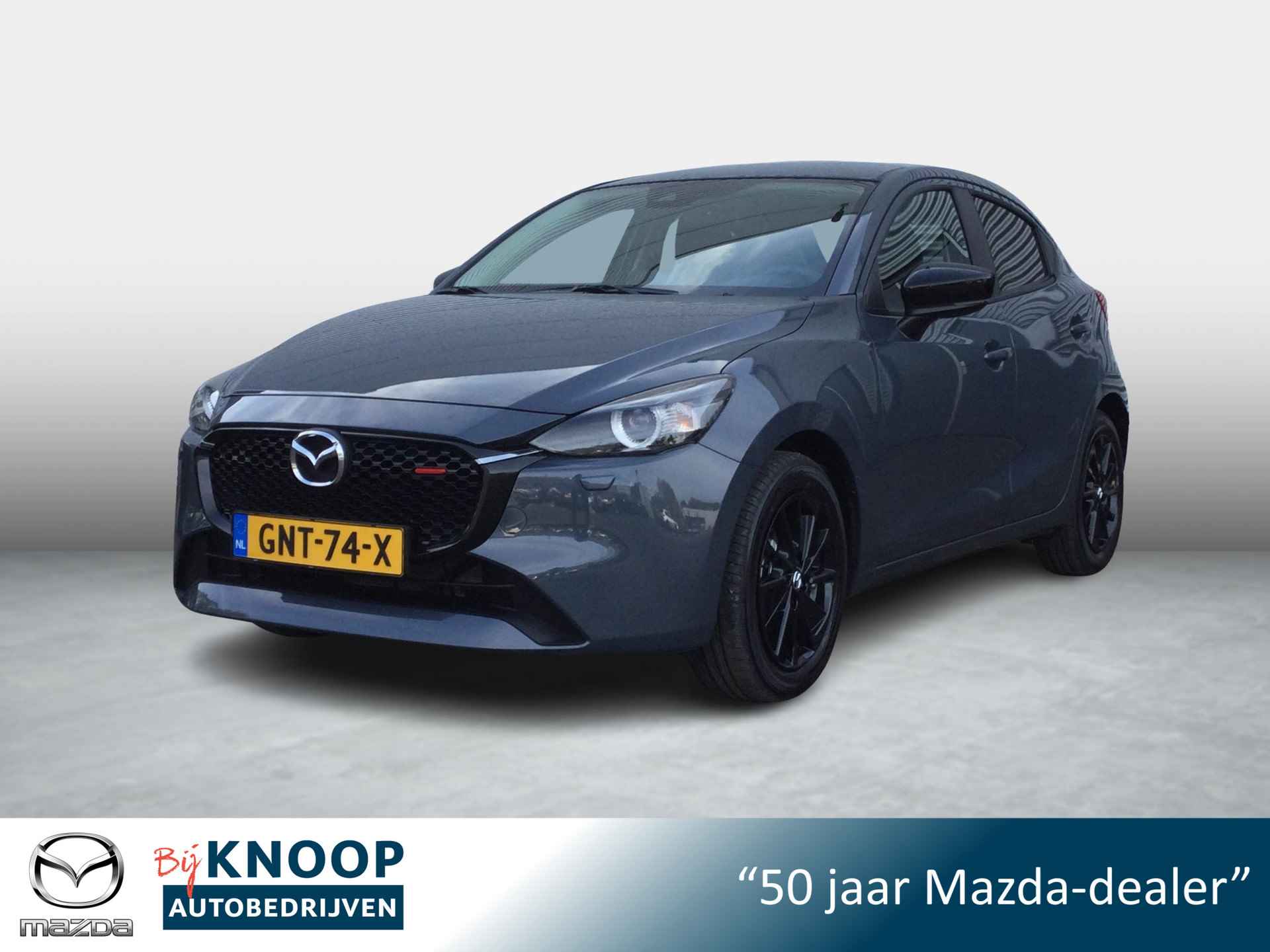 Mazda 2 BOVAG 40-Puntencheck