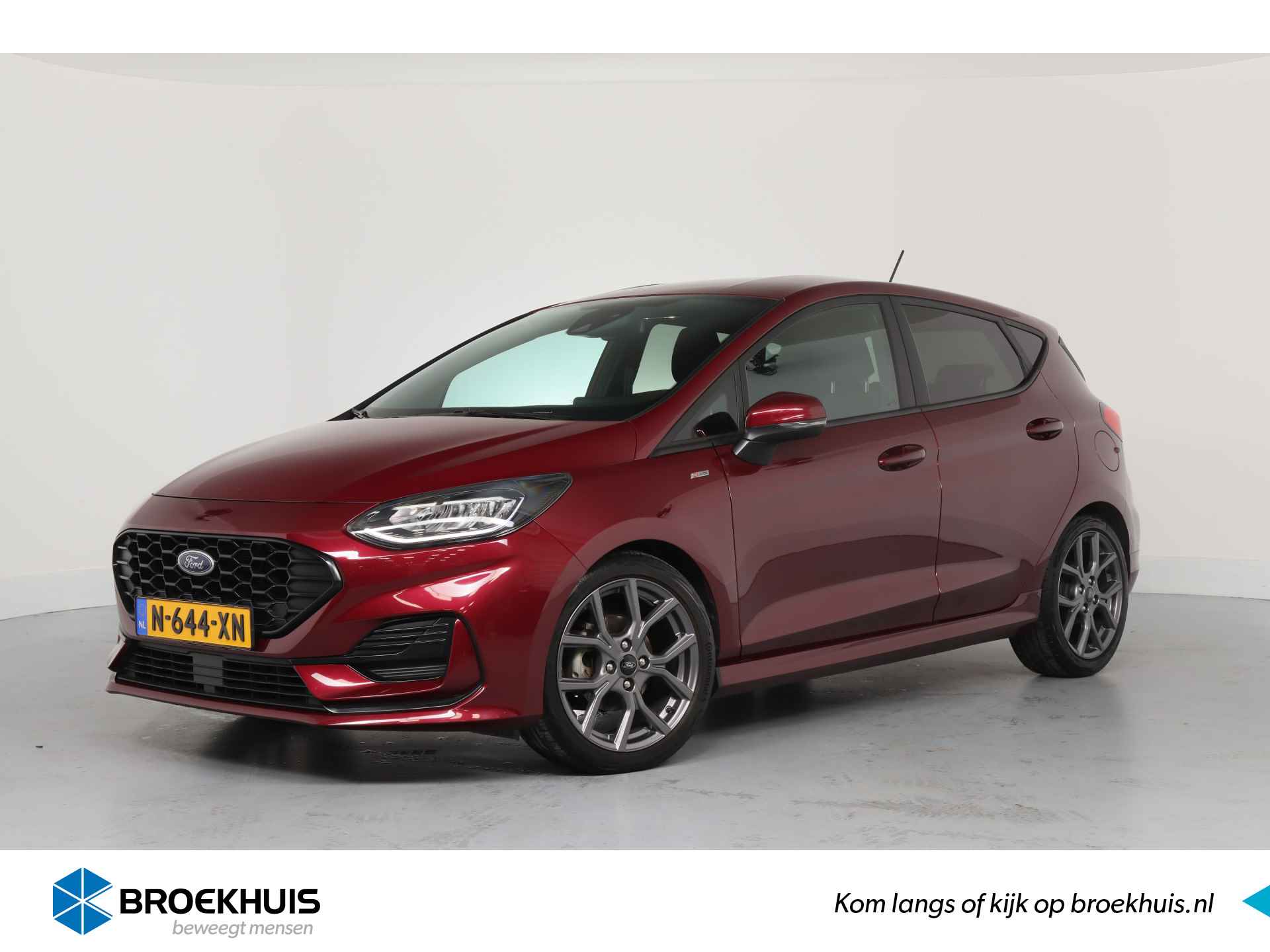 Ford Fiesta BOVAG 40-Puntencheck