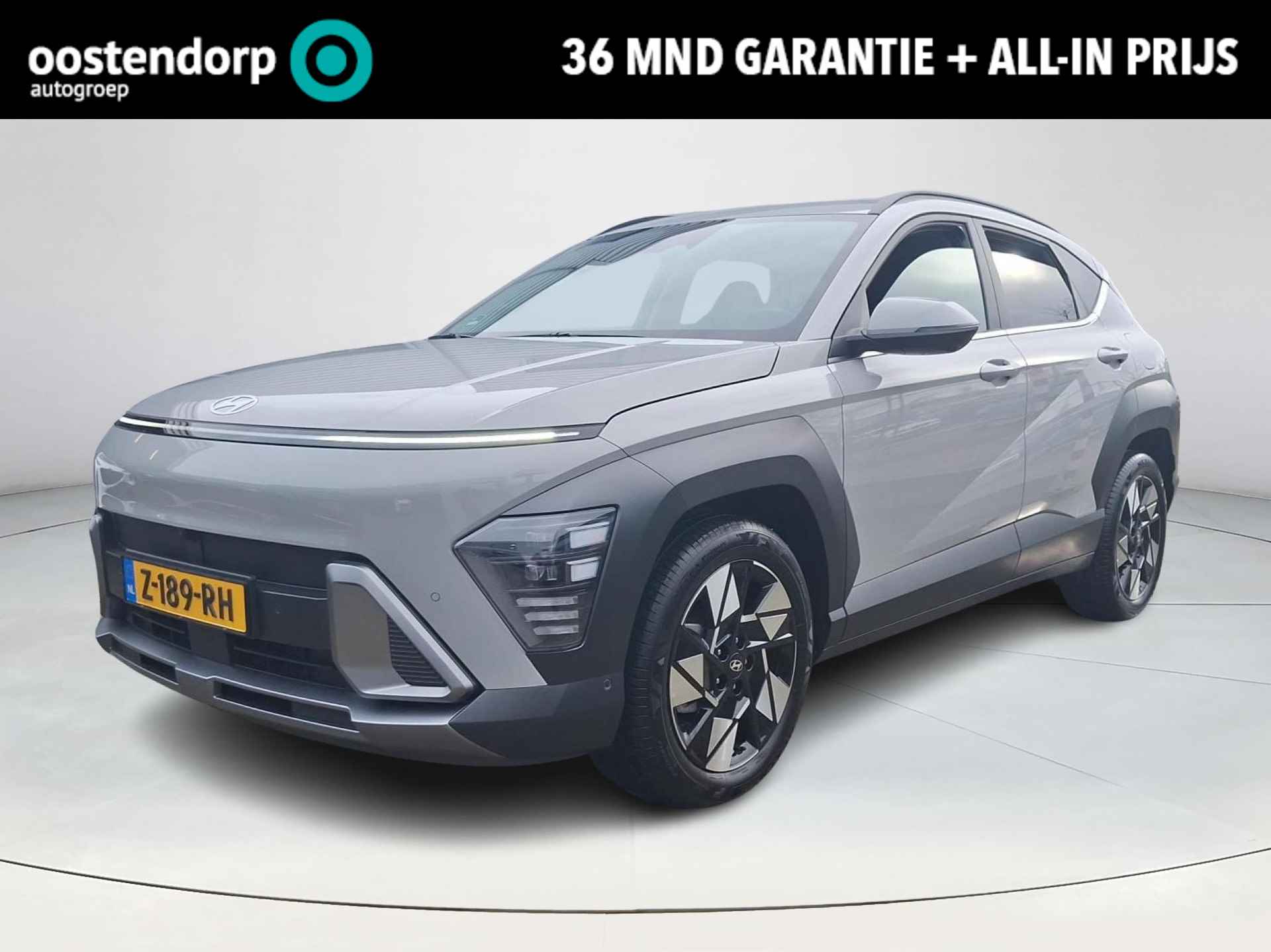 Hyundai Kona BOVAG 40-Puntencheck