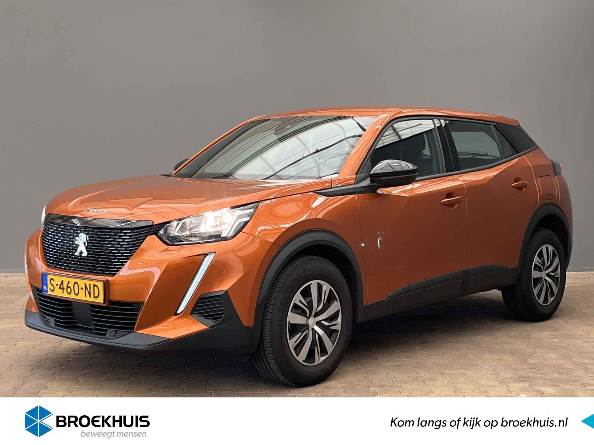 Peugeot 2008 BOVAG 40-Puntencheck