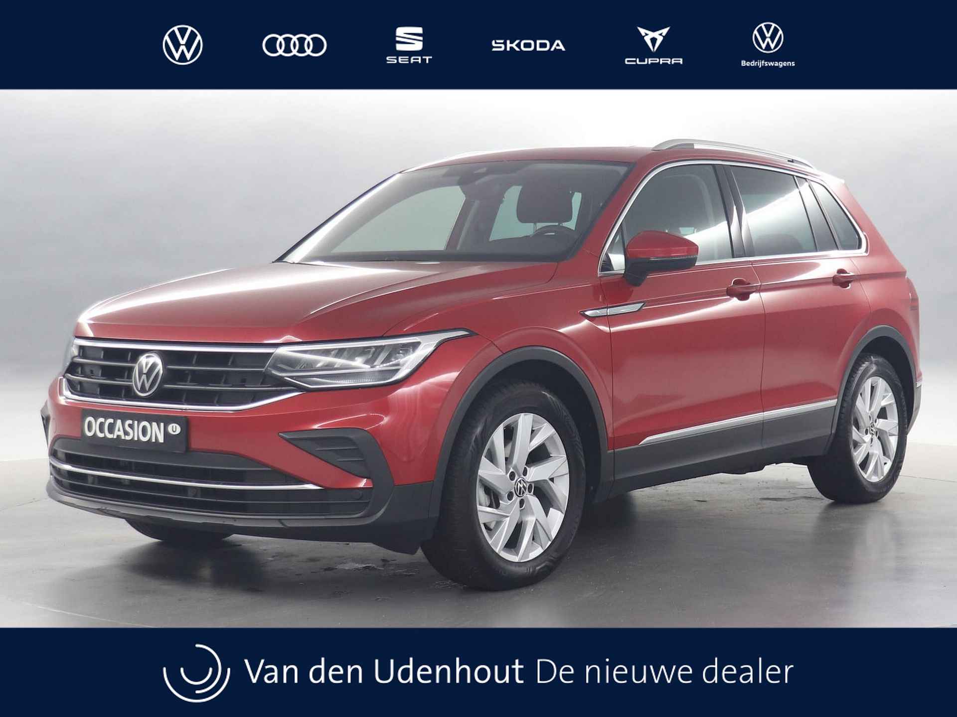 Volkswagen Tiguan BOVAG 40-Puntencheck