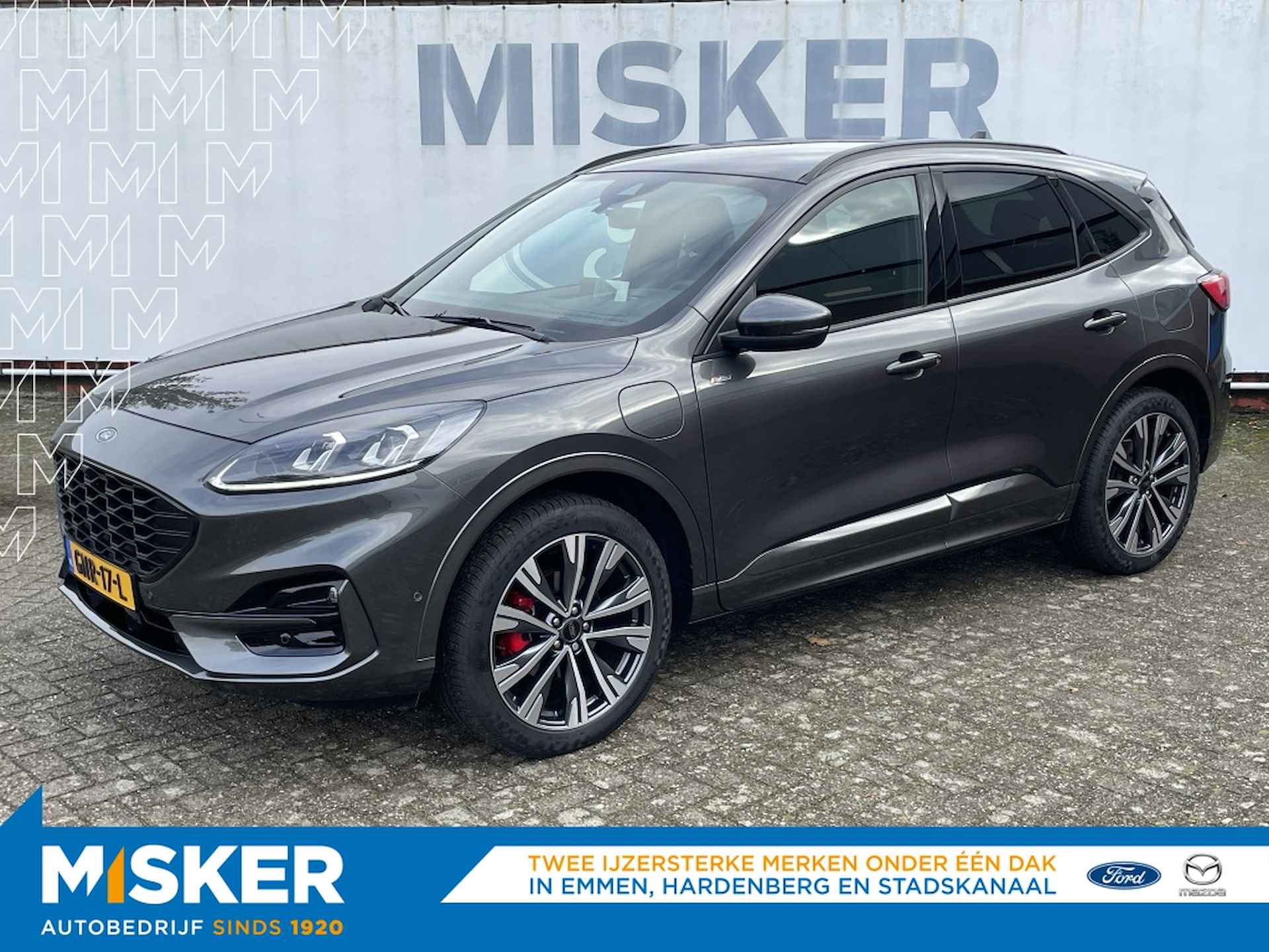 Ford Kuga BOVAG 40-Puntencheck