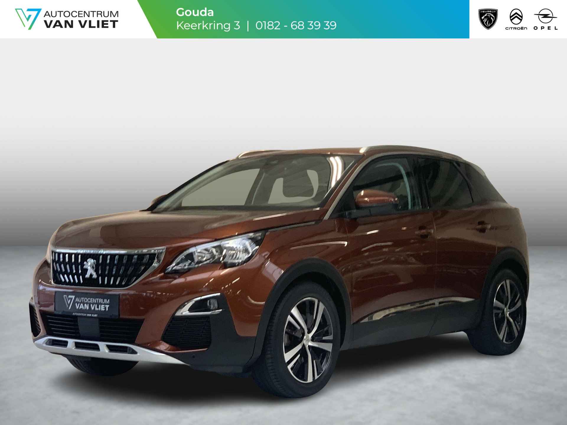 Peugeot 3008 BOVAG 40-Puntencheck