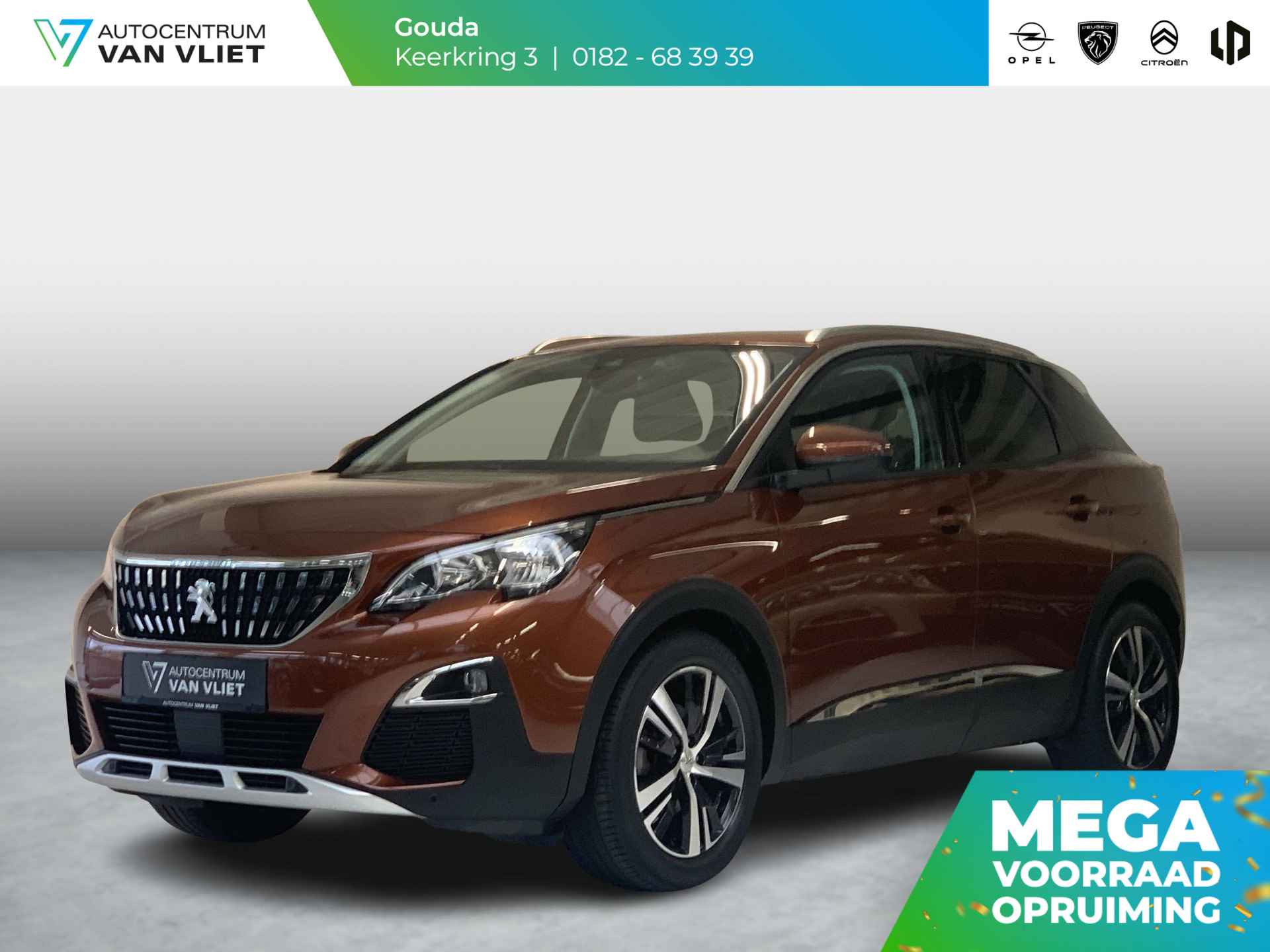 Peugeot 3008 BOVAG 40-Puntencheck