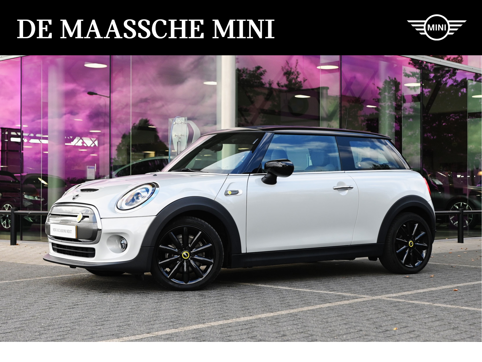 MINI Electric Essential 33 kWh / Achteruitrijcamera / Sportstoelen / LED / Comfort Access / Stoelverwarming / PDC achter / Cruise Control