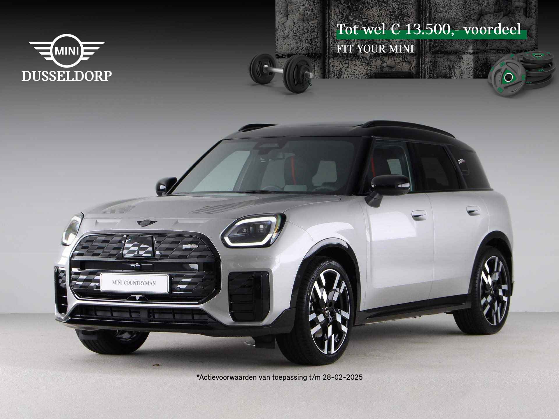 Mini Countryman