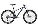 GIANT Fathom 29er Heren Blue Ashes M M 2022