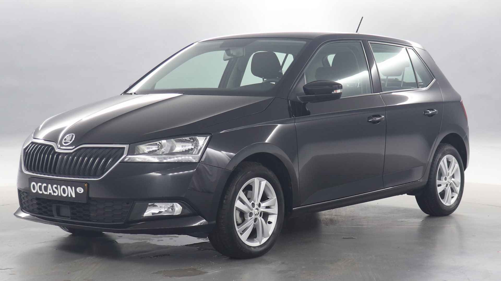 Škoda Fabia BOVAG 40-Puntencheck