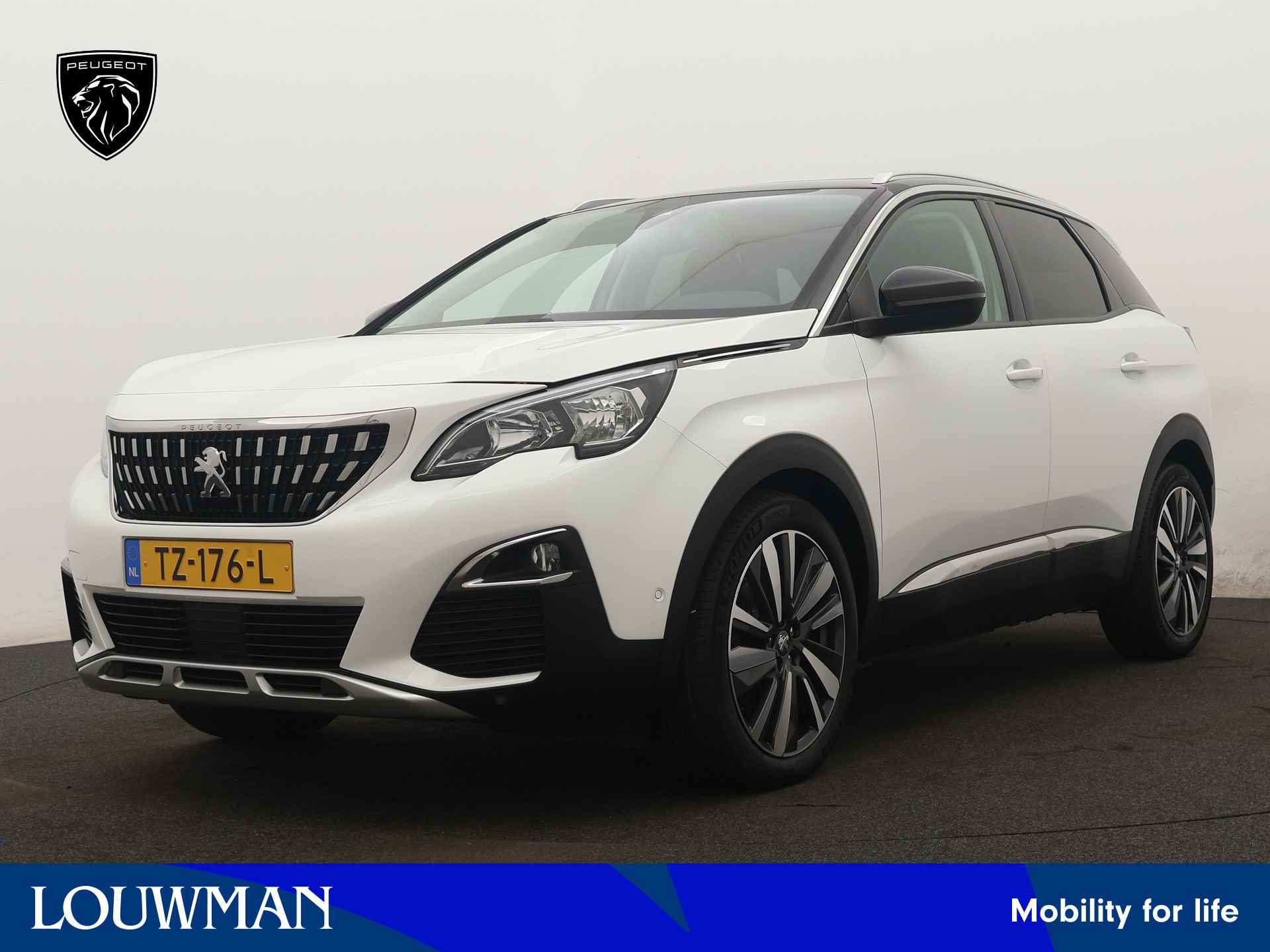 Peugeot 3008 BOVAG 40-Puntencheck