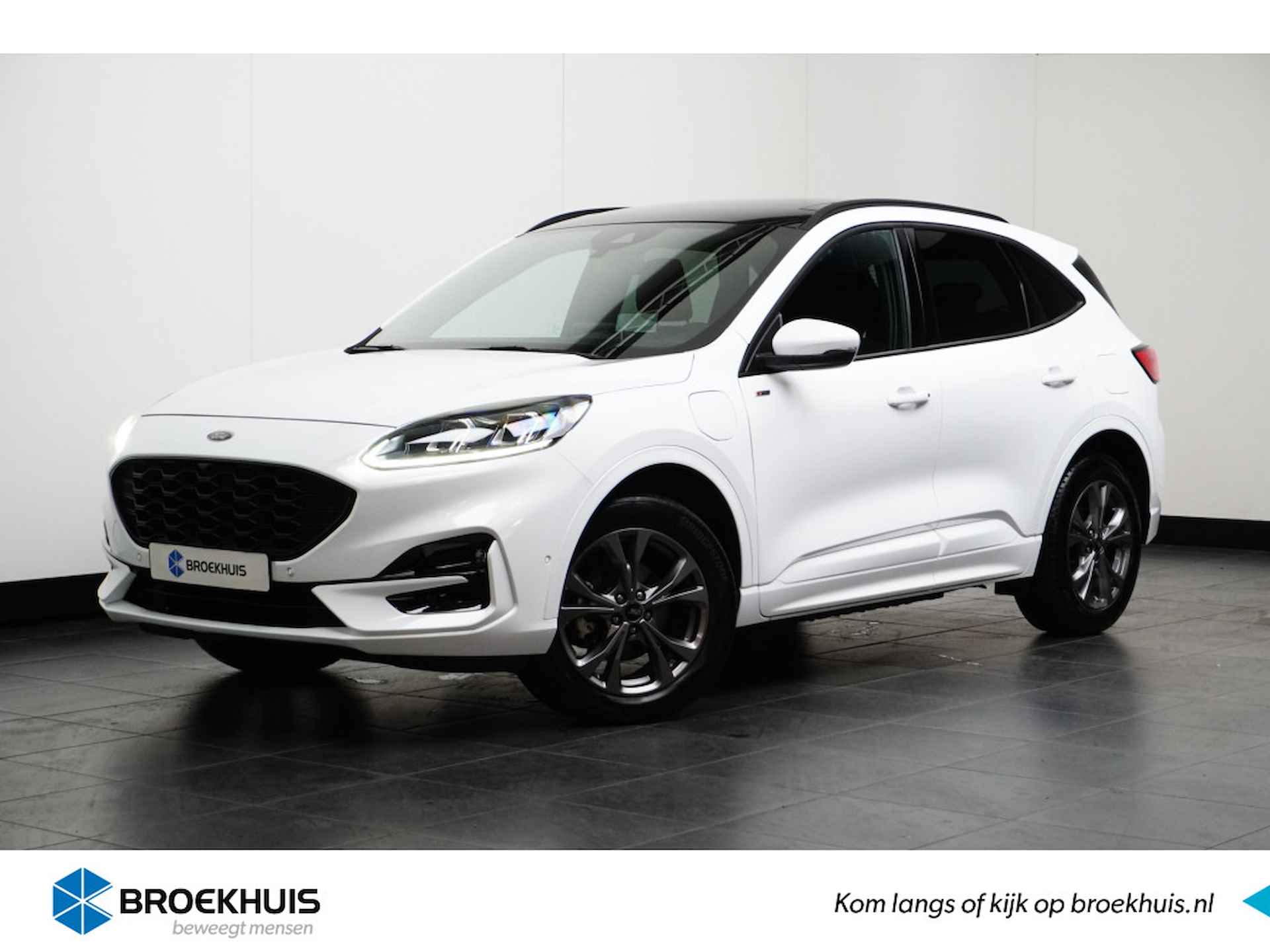 Ford Kuga BOVAG 40-Puntencheck