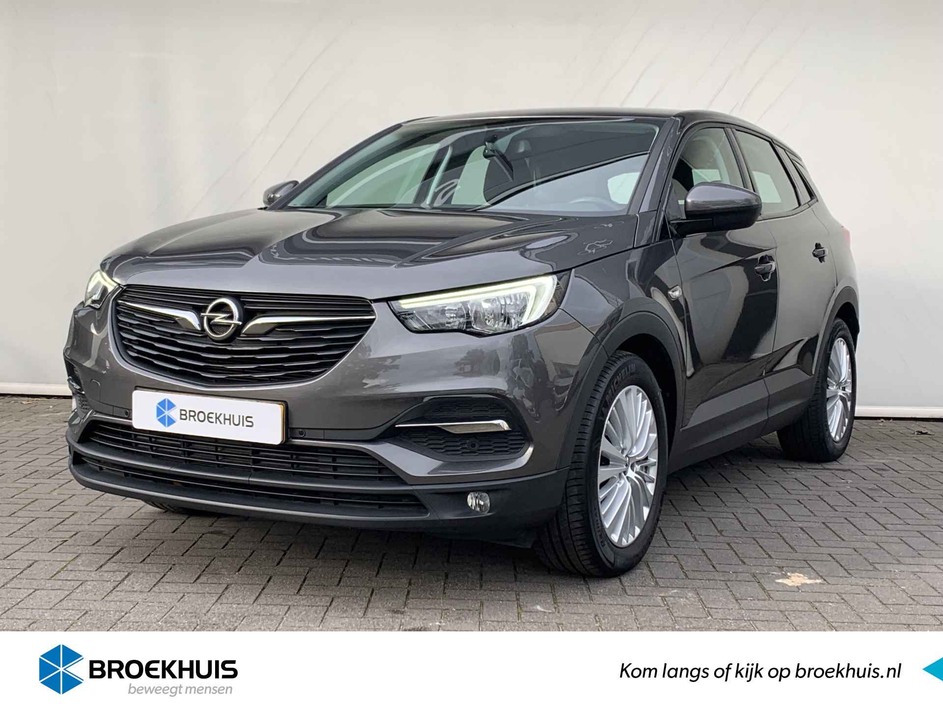 Opel Grandland X BOVAG 40-Puntencheck