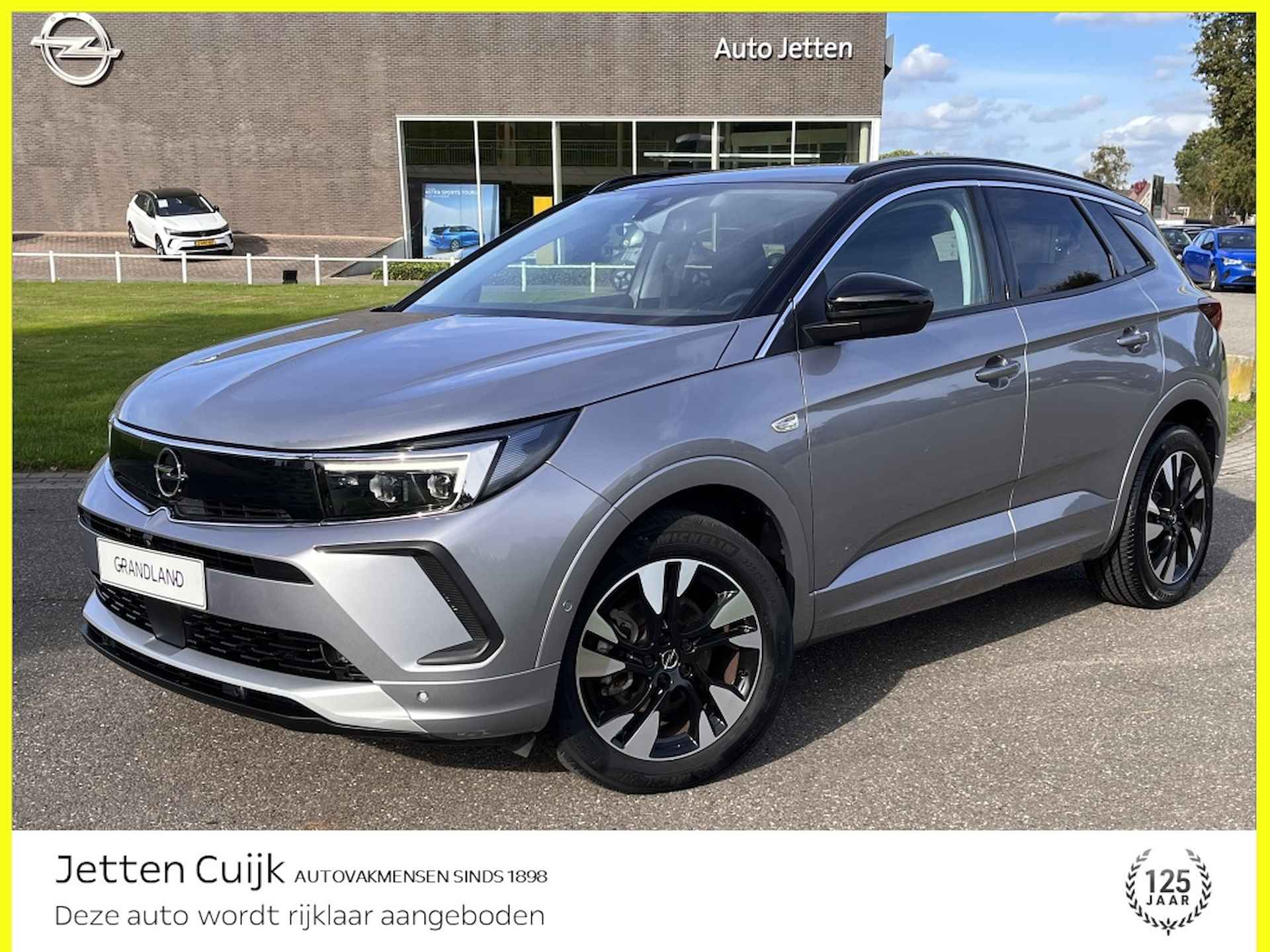 Opel Grandland X BOVAG 40-Puntencheck