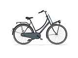 CORTINA U4 Transport Lage instap Mouse Grey Matt 57cm 2025