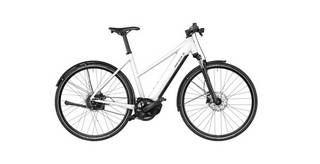 Riese & Müller Roadster Mixte vario 625wh bagagedrager comfortkit Stadsfiets Mixed E-bike bij viaBOVAG.nl