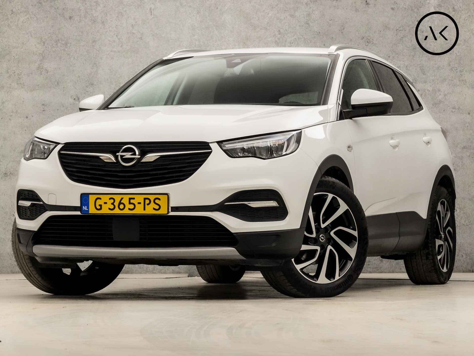 Opel Grandland X BOVAG 40-Puntencheck