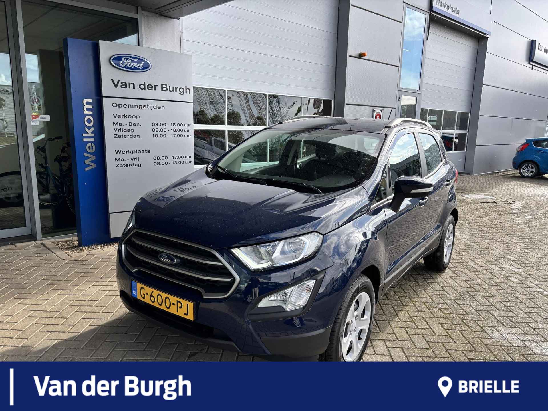 Ford EcoSport BOVAG 40-Puntencheck