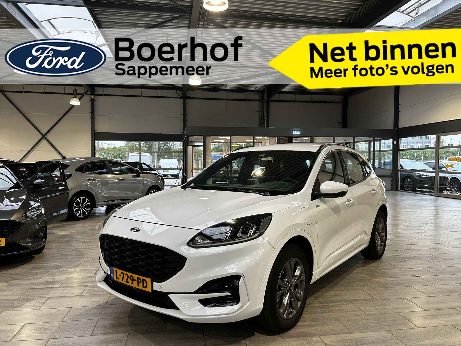 Ford Kuga BOVAG 40-Puntencheck