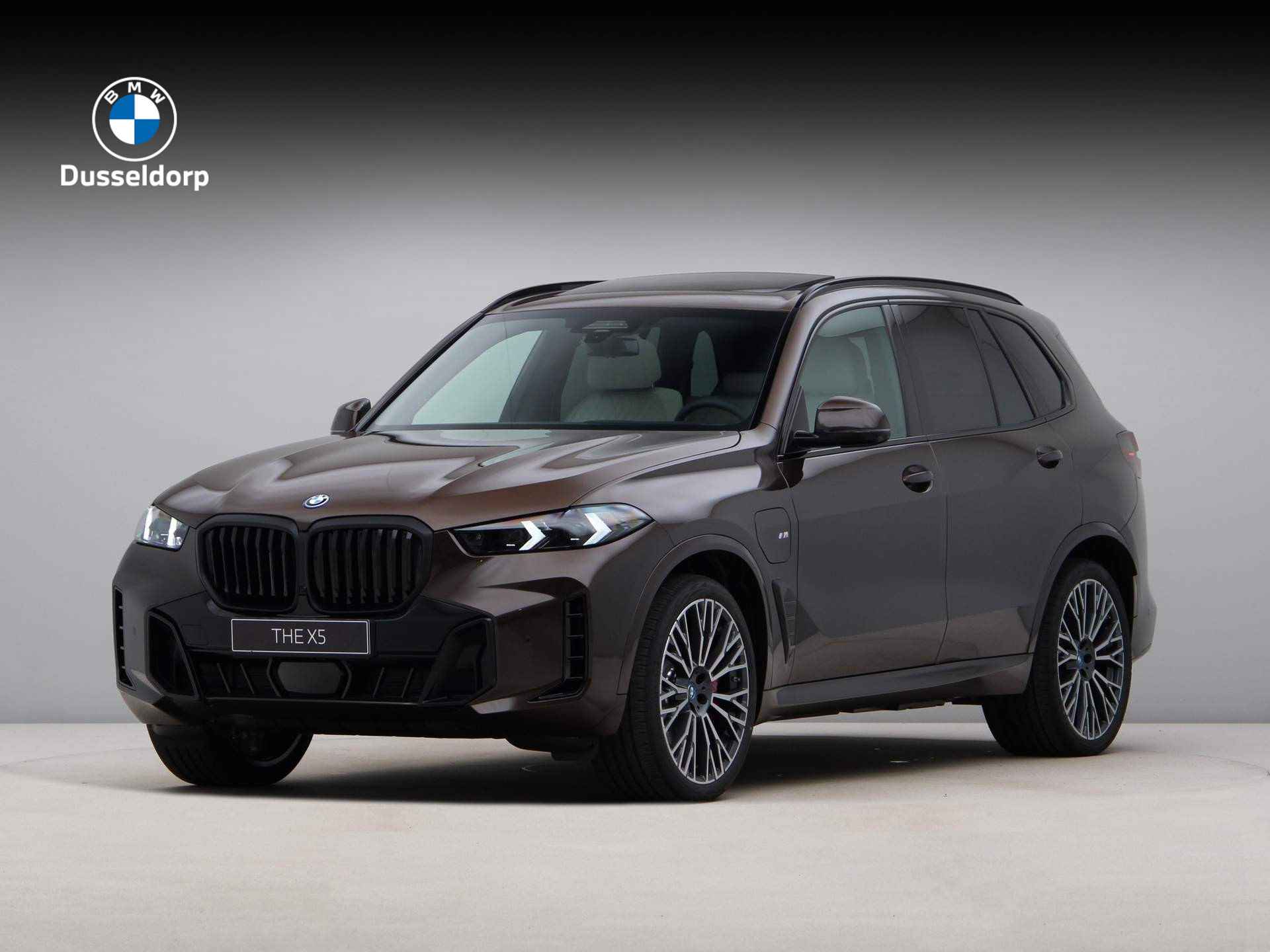 BMW X5 xDrive50e