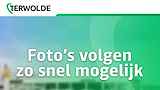 Volkswagen Polo 1.0 BlueMotion