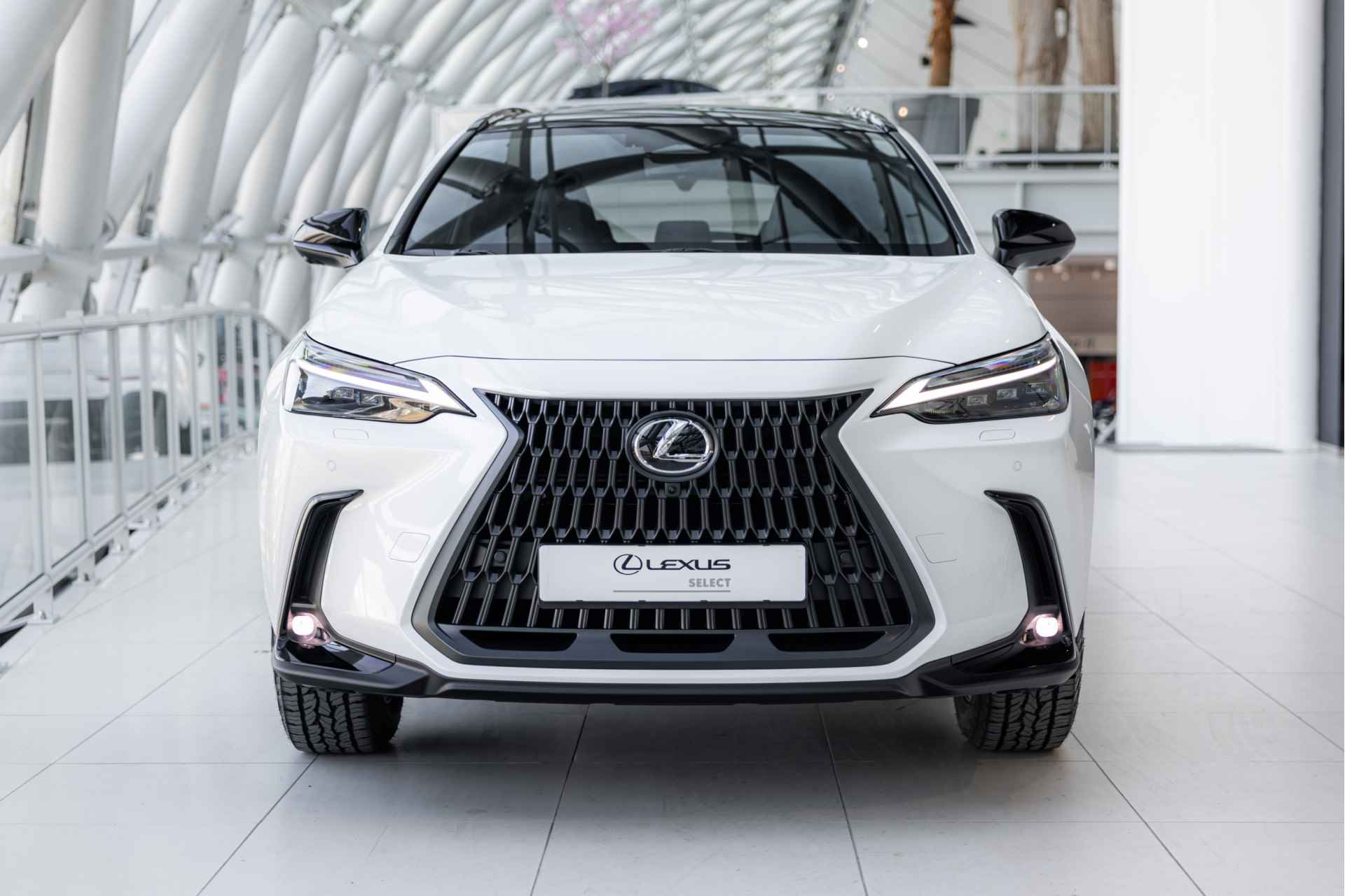 Lexus NX 450h+ AWD Overtrail Line Limited | Adaptive Suspension |  Stoelverwarming & Koeling | Panoramic View | - 15/65