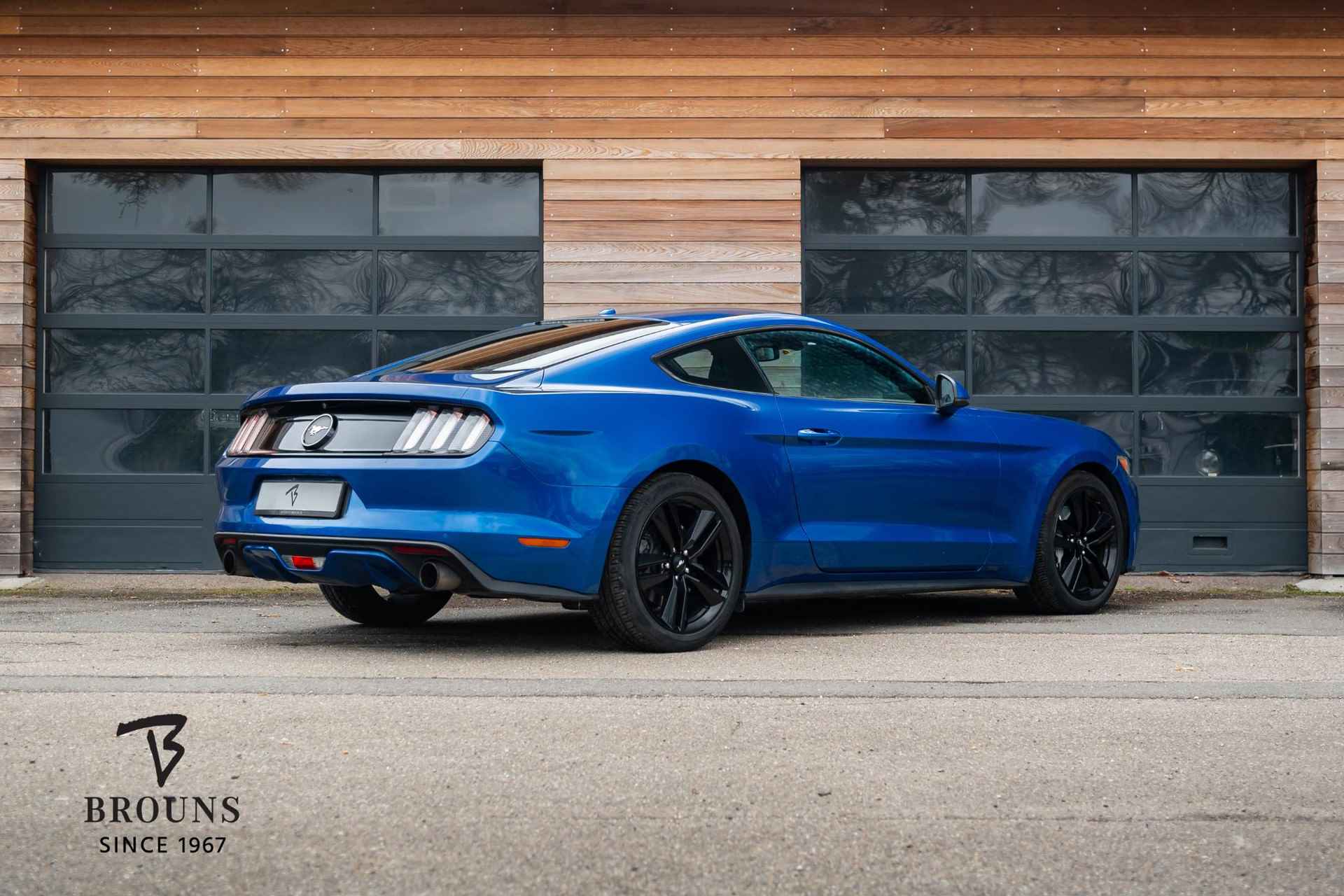 Ford Mustang Fastback 2.3 EcoBoost 317pk *Sportuitl-Camera-Carplay - 3/24