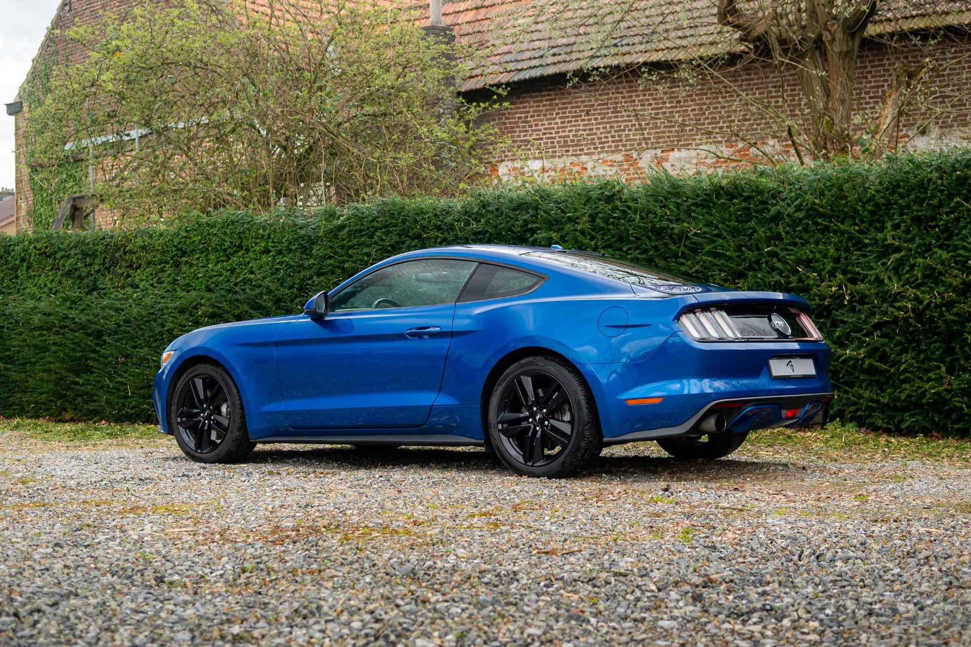 Ford Mustang Fastback 2.3 EcoBoost 317pk *Sportuitl-Camera-Carplay - 17/24